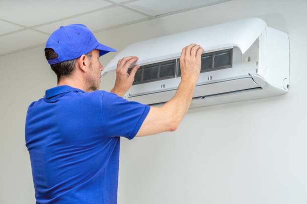 Best Professional Duct Cleaning Services  in Swartz Creek, MI